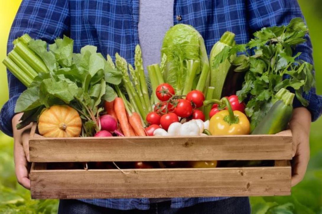 A person holding a wooden tray of mixed fresh vegetables